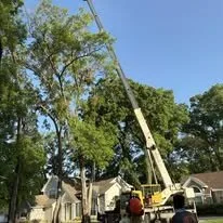 Local landscape installation near you across South Daytona, FL - A Cut Above Tree Care And More