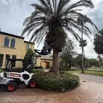 Top-rated outdoor landscaping in South Daytona, FL by A Cut Above Tree Care And More