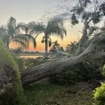 Top-rated residential landscaping in South Daytona, FL by A Cut Above Tree Care And More