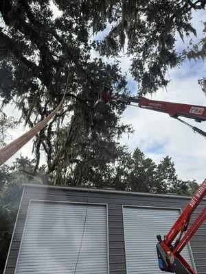 A Cut Above Tree Care And More