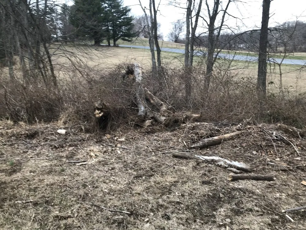 Local landscape installation in Glenelg, MD by A Cut Above Tree Experts