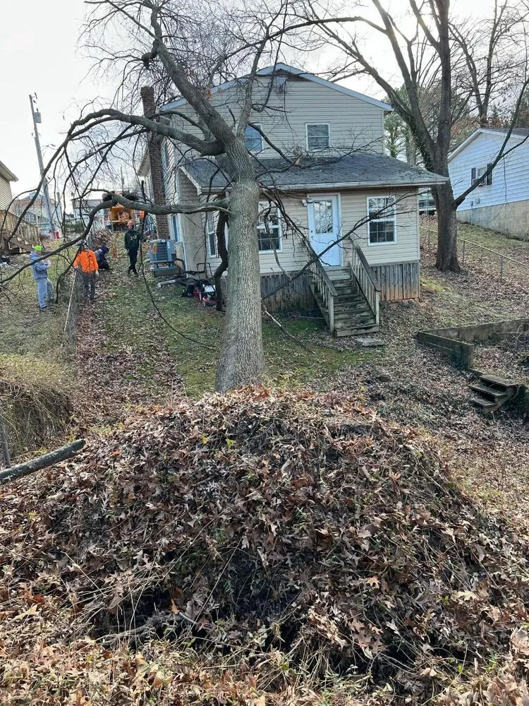 Local garden landscaping near you across Glenelg, MD - A Cut Above Tree Experts