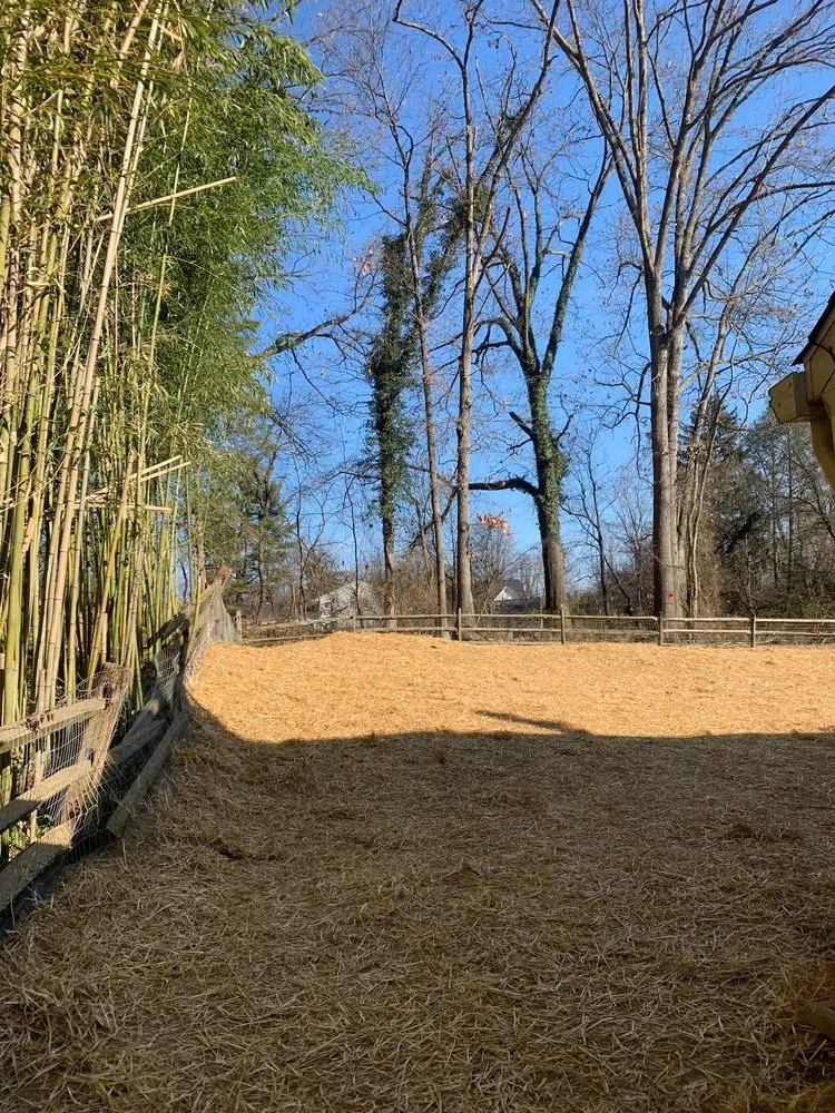 Trusted landscape design near you across Glenelg, MD - A Cut Above Tree Experts