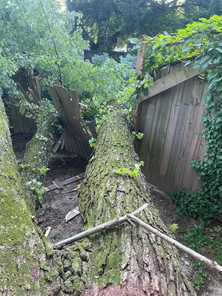 Affordable landscaping services near you in Glenelg, MD by A Cut Above Tree Experts