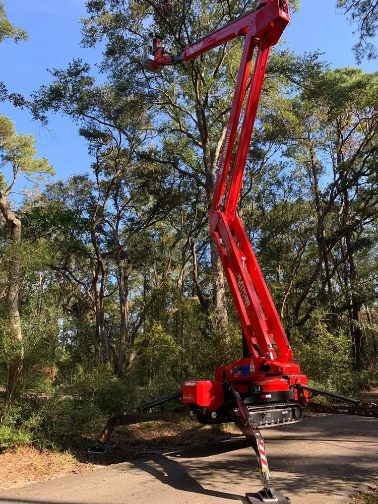 Top-rated yard maintenance experts serving Wilmington, NC - A Cut Above Tree Experts