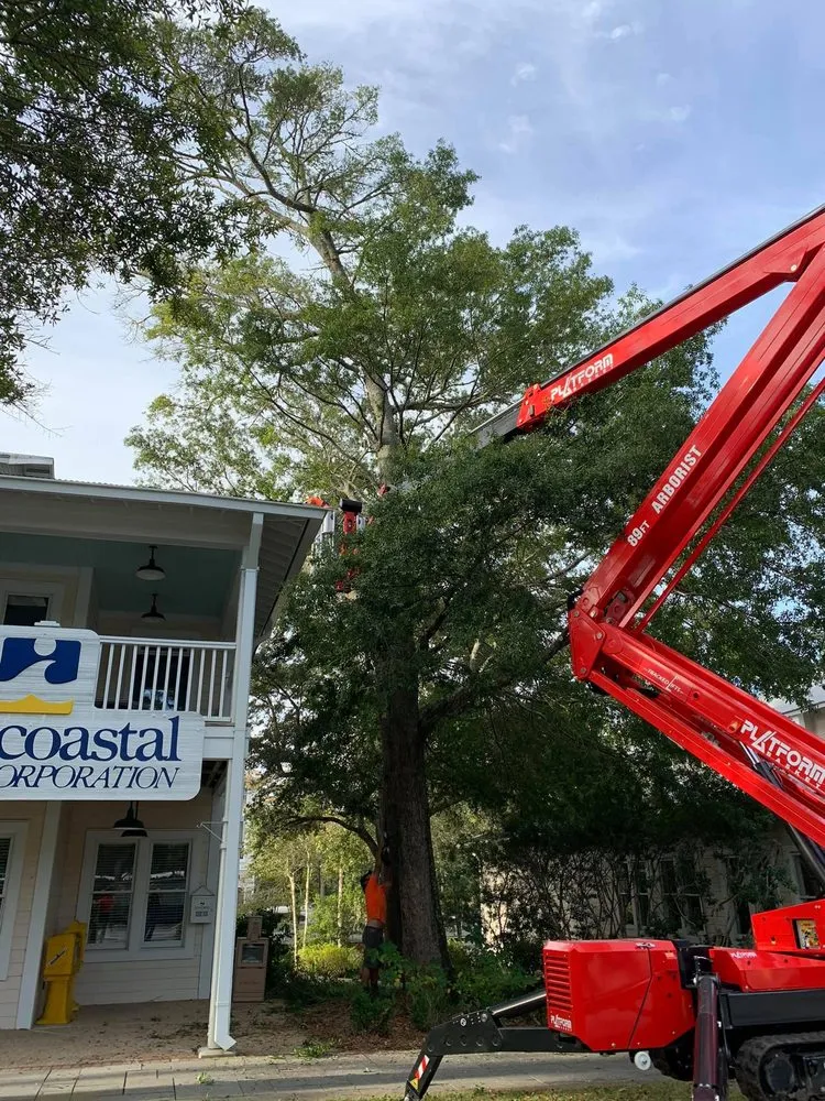 Trusted lawn mowing service in Wilmington, NC - A Cut Above Tree Experts