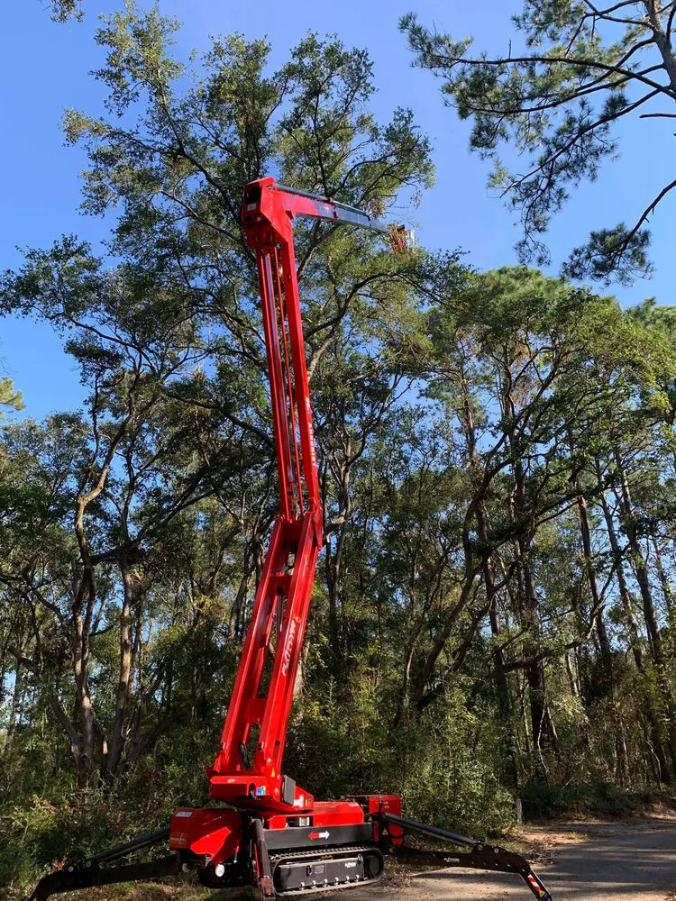 Expert landscape installation in Wilmington, NC - A Cut Above Tree Experts