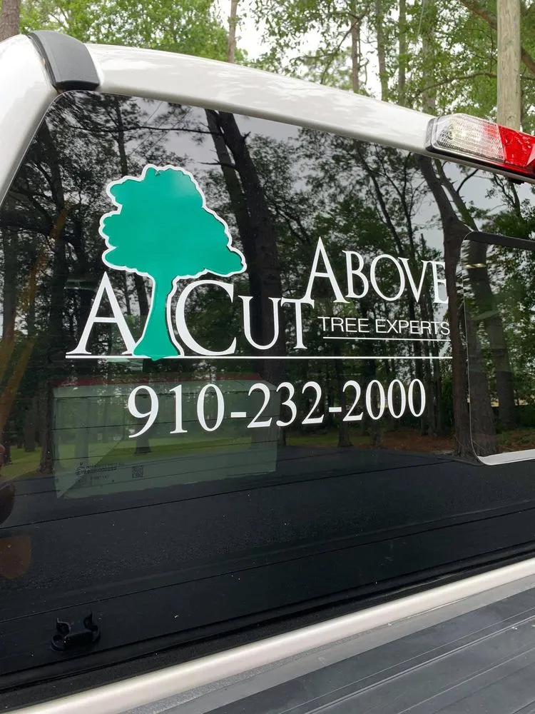 Professional garden landscaping in Wilmington, NC by A Cut Above Tree Experts