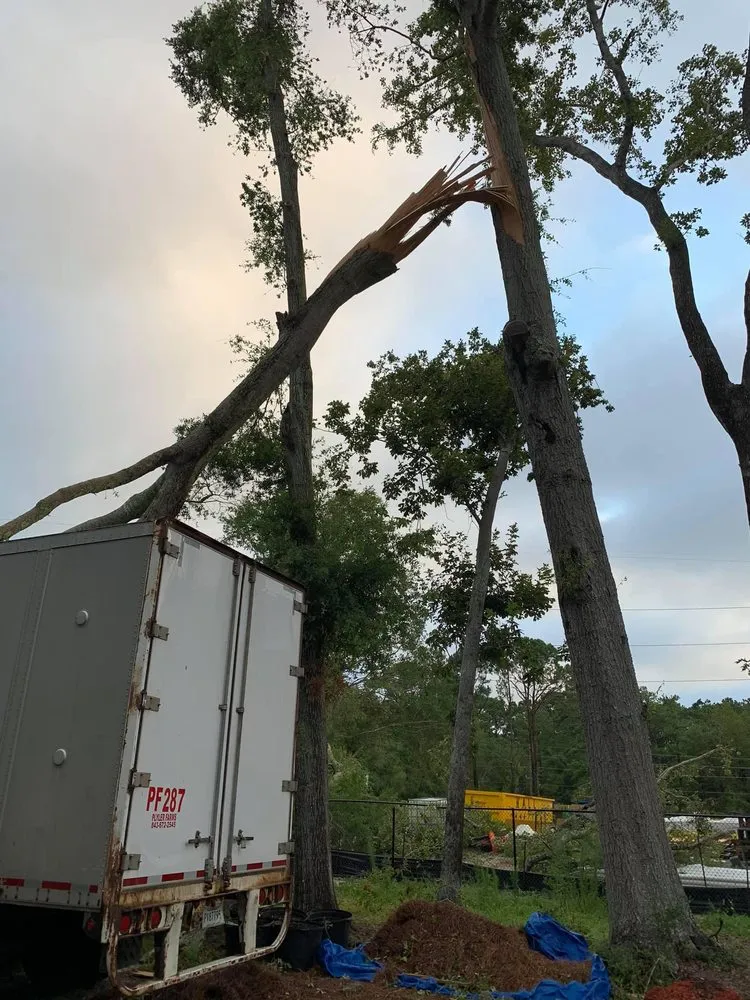 Expert garden landscaping in Wilmington, NC - A Cut Above Tree Experts