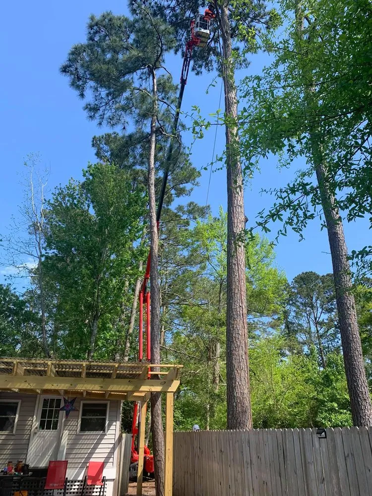 Top-rated landscaping services for beautiful yards across Wilmington, NC - A Cut Above Tree Experts