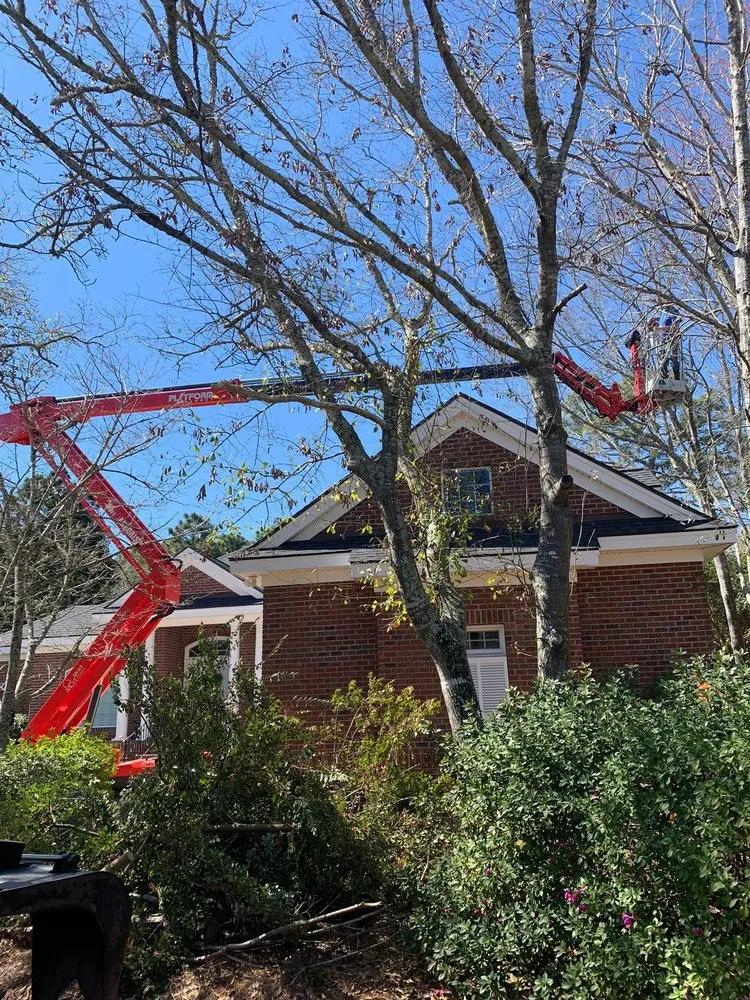 Top-rated residential landscaping for homes in Wilmington, NC by A Cut Above Tree Experts