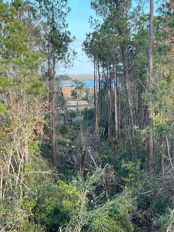 Trusted garden landscaping in Wilmington, NC - A Cut Above Tree Experts