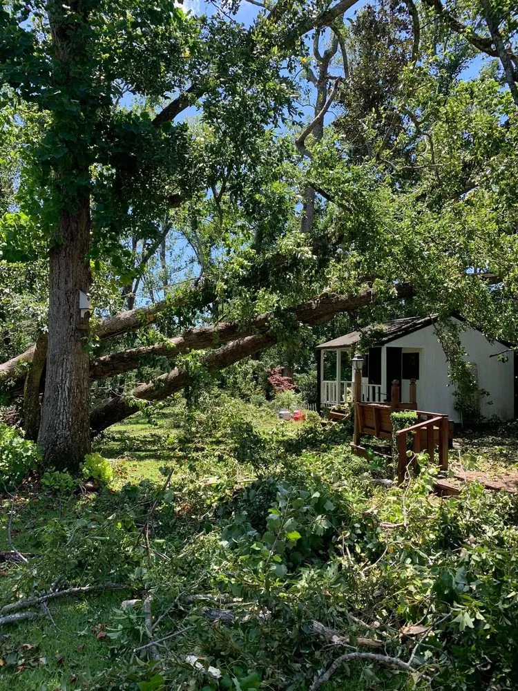 Expert garden landscaping in Wilmington, NC by A Cut Above Tree Experts