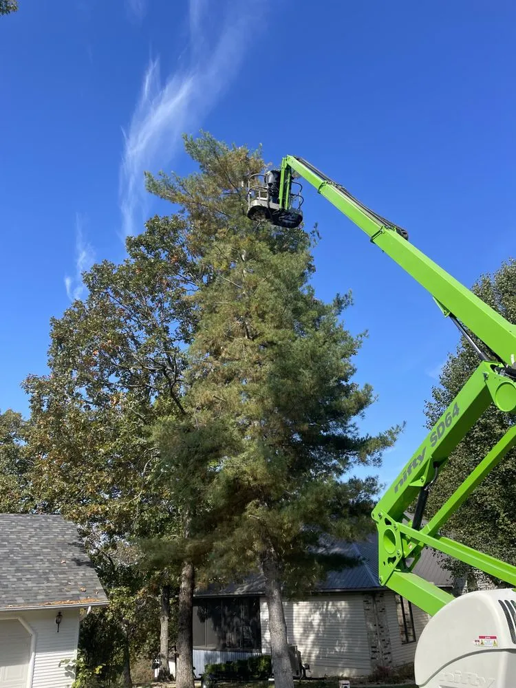 Professional residential landscaping for beautiful yards across Branson West, MO - A Cut Above Tree Service