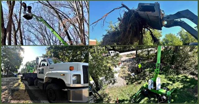 Top-rated yard maintenance in Branson West, MO by A Cut Above Tree Service