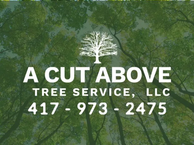 Trusted residential landscaping near you in Branson West, MO by A Cut Above Tree Service
