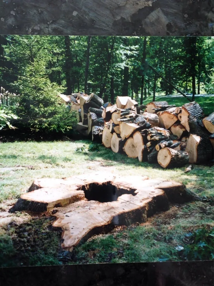 Reliable lawn mowing service for year-round maintenance in Danville, IN by A Cut Above Tree Service