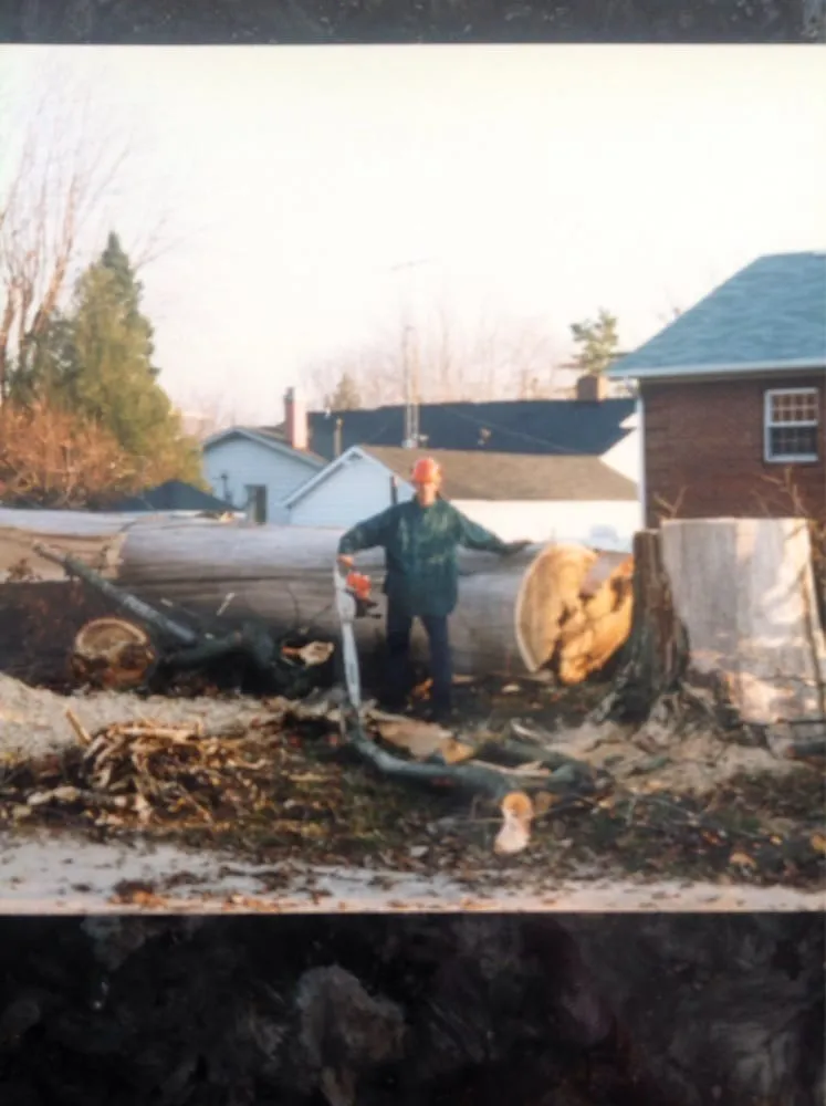 Top-rated landscape installation in Danville, IN by A Cut Above Tree Service