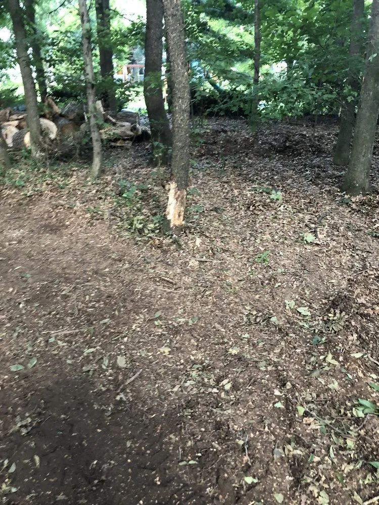 Top-rated lawn mowing service experts serving Niles, MI - A Cut Above Tree Service