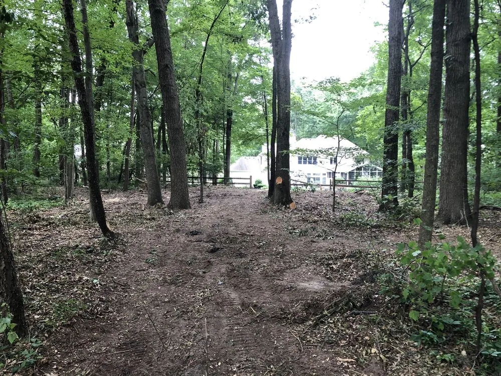 Top-rated lawn mowing service in Niles, MI - A Cut Above Tree Service