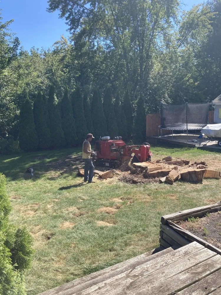 Professional landscape design for residential properties across Niles, MI - A Cut Above Tree Service