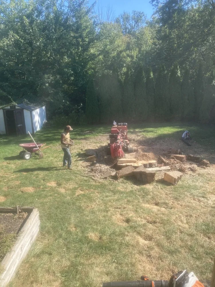 Reliable landscaping services experts serving Niles, MI - A Cut Above Tree Service