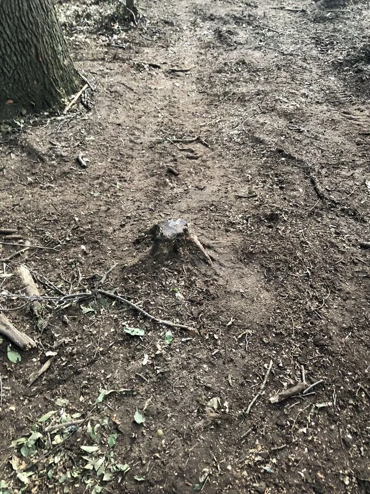 Local landscaping services for outdoor upgrades in Niles, MI by A Cut Above Tree Service