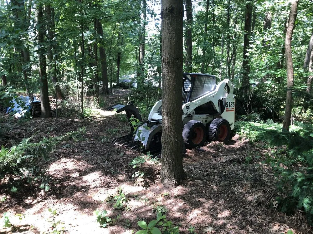 Affordable lawn care service near you in Niles, MI by A Cut Above Tree Service