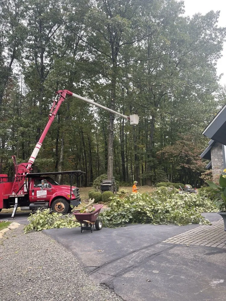 Top-rated residential landscaping in Plantsville, CT - A Cut Above Tree Service