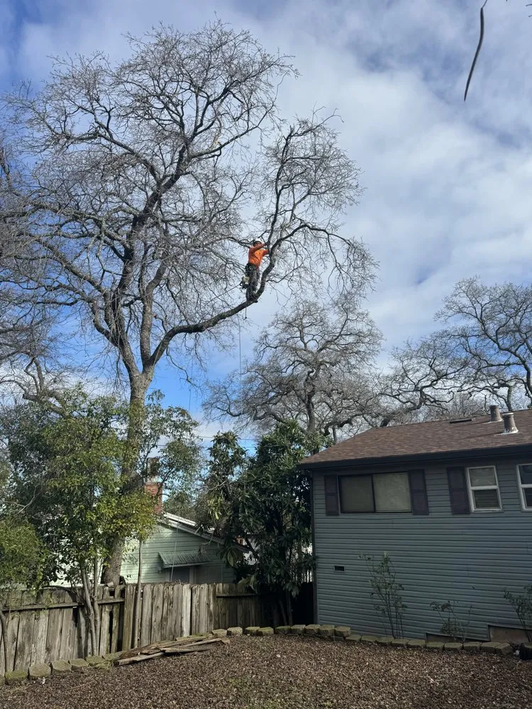Custom yard maintenance near you in Volcano, CA by A Cut Above