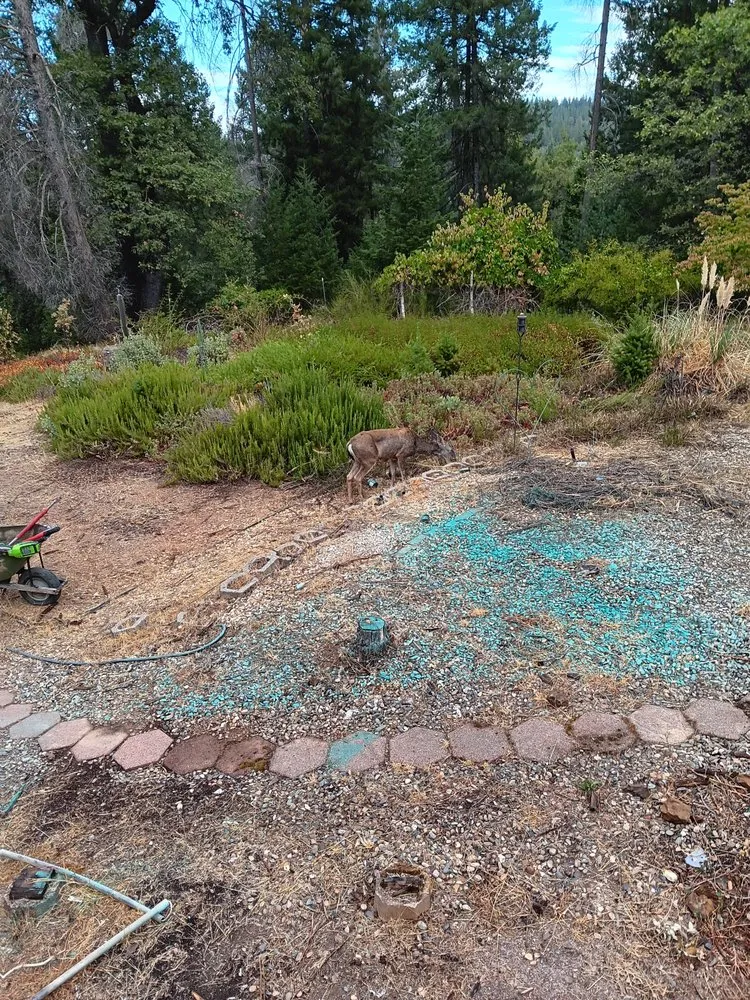 Expert landscape design in Volcano, CA - A Cut Above