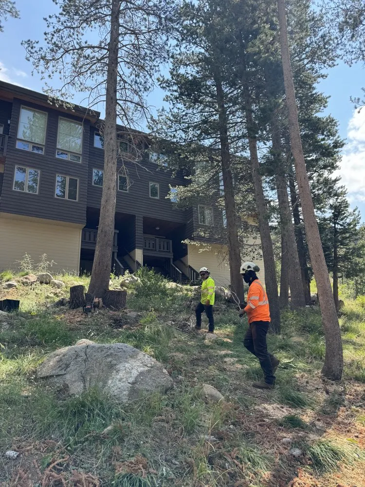 Affordable lawn care service near you across Volcano, CA - A Cut Above