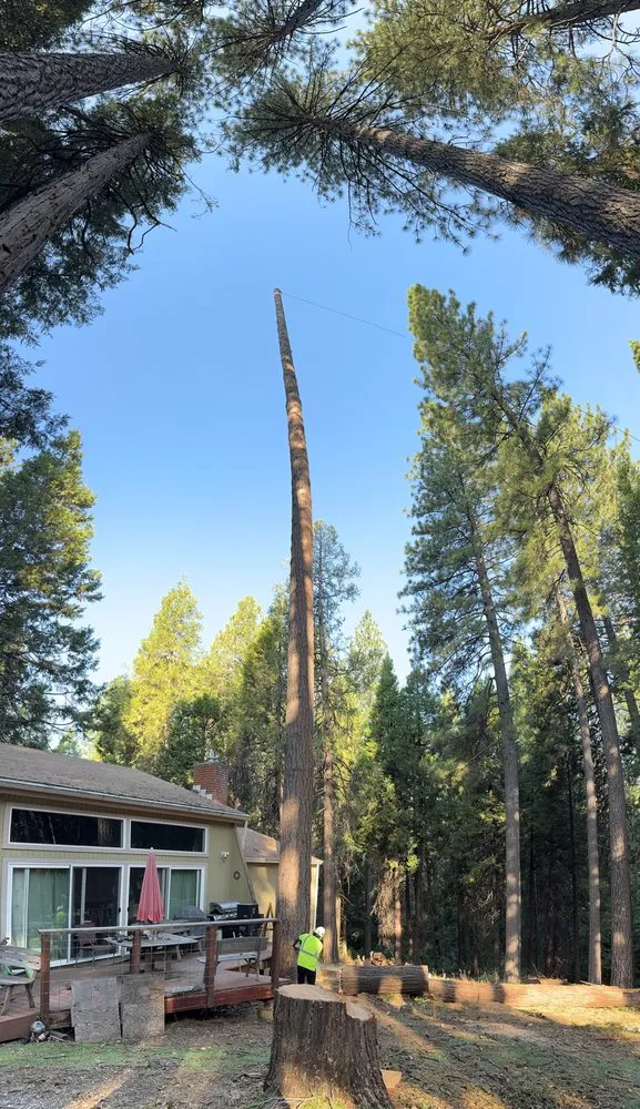 Expert landscape installation near you in Volcano, CA by A Cut Above