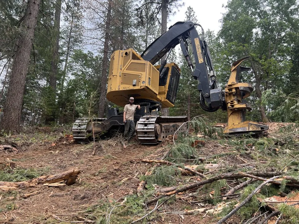 Expert lawn care service experts serving Volcano, CA - A Cut Above