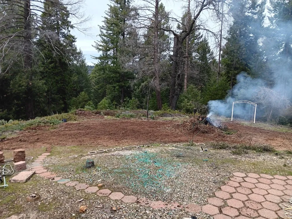 Trusted yard cleanup service for year-round maintenance in Volcano, CA by A Cut Above