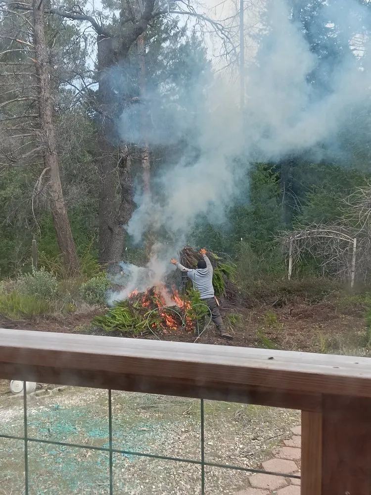 Affordable yard maintenance in Volcano, CA - A Cut Above