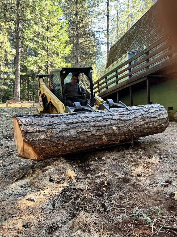 Local yard cleanup service in Volcano, CA by A Cut Above