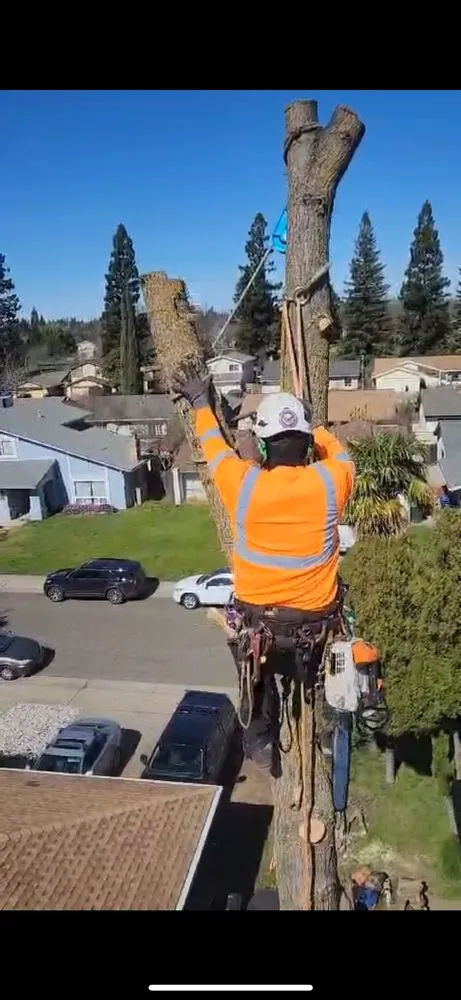 Professional lawn care service for homes in Volcano, CA by A Cut Above