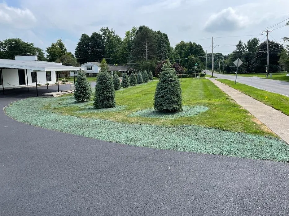 Reliable yard cleanup service for year-round maintenance across Watertown, NY - A Cut Above