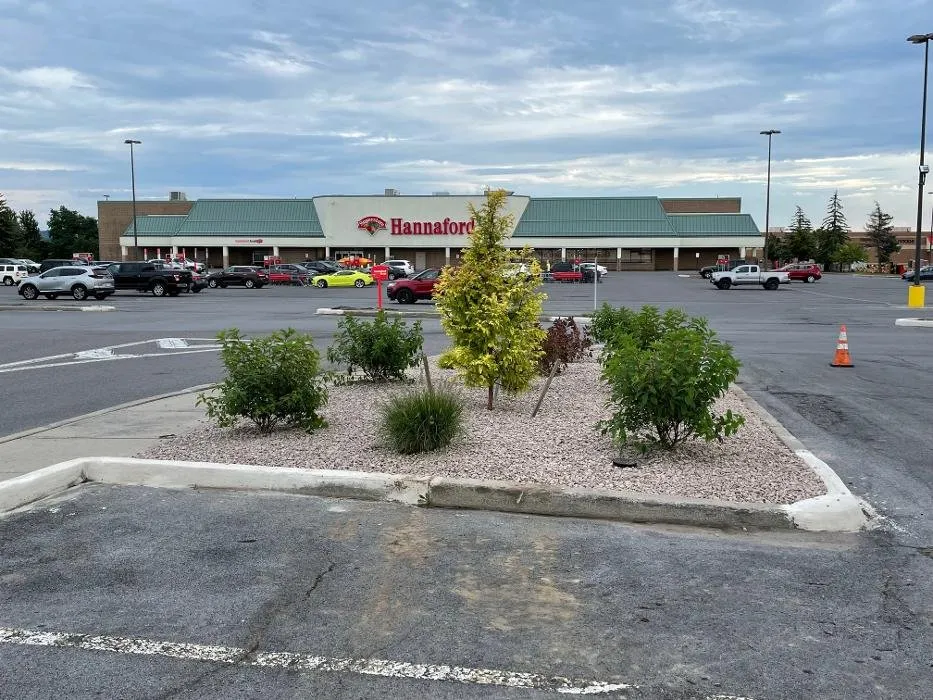 Expert lawn care service for residential properties across Watertown, NY - A Cut Above