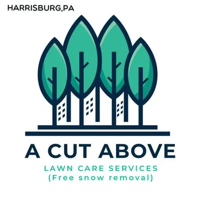 A Cut Above