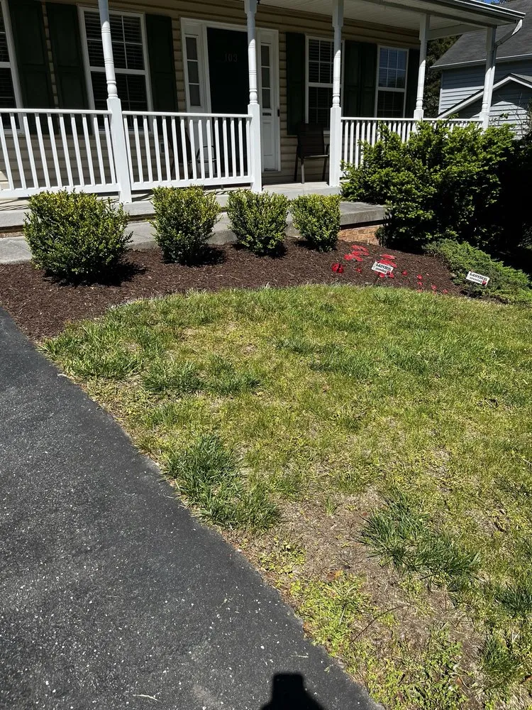 Reliable yard maintenance in Winchester, VA - A Cut Above