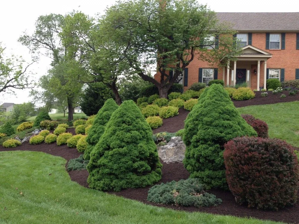 Trusted lawn care service experts serving Winchester, VA - A Cut Above