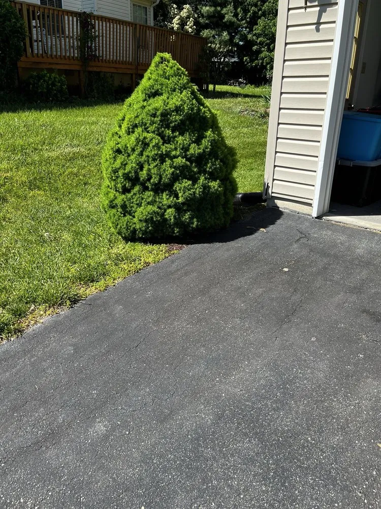 Top-rated yard cleanup service experts serving Winchester, VA - A Cut Above