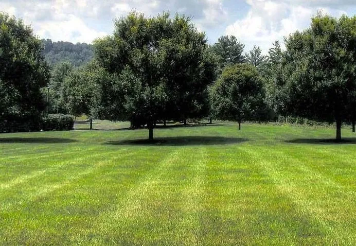 Affordable garden landscaping near you across Fort Lupton, CO - A Cut Above Yard Care