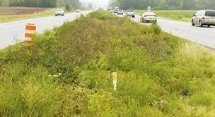 Professional landscape design for year-round maintenance across Fort Lupton, CO - A Cut Above Yard Care