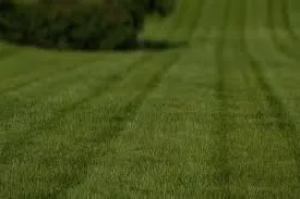 Local lawn mowing service for residential properties in Fort Lupton, CO by A Cut Above Yard Care