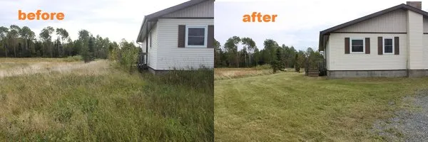 A Cut Above Yard Service Logo