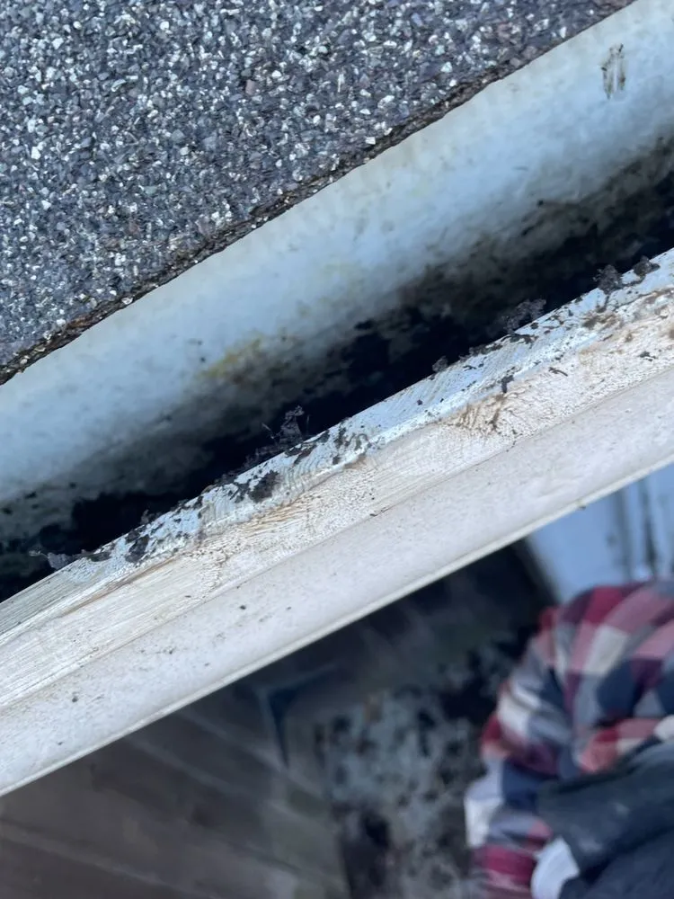 Local lawn care service in Lorain, OH - A Cut At A Time