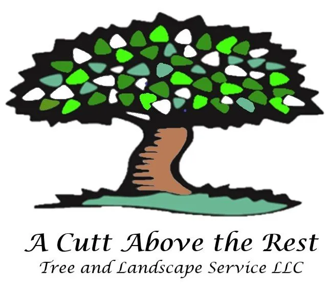 Trusted outdoor landscaping for homes across San Antonio, TX - A Cutt Above the Rest